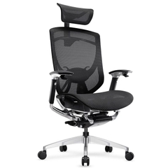 Ghế Công Thái Học Ergonomic IFIT Smile ( Đen / Xám)