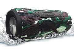 Loa Bluetooth SoundMax R-800 (31W RMS, Bluetooth 5.0, IP67)