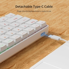 Bàn Phím Cơ Gaming Newmen GM611 (Red Switch/USB Wired)