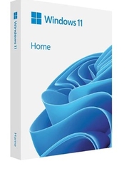 Windows 11 Home FPP 64-bit Eng Intl USB (HAJ-00090)
