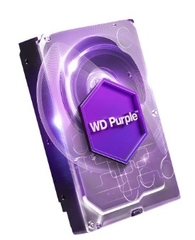 Ổ CỨNG HDD WD PURPLE 4TB 3.5 INCH, 5400RPM, SATA, 256MB CACHE - WD42PURZ