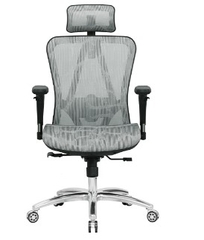 Ghế Công Thái Học Edra EEC215 (Xám)