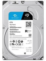 Ổ cứng camera Seagate Skyhawk 6TB ST6000VX009 (3.5Inch/ 5400rpm/ Cache 256MB/ SATA3)