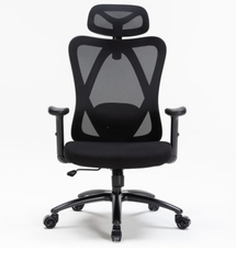 Ghế công thái học ergonomic WARRIOR HERO Series WEC501 Plus Black