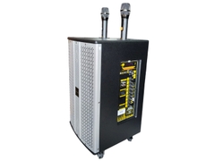 LOA KARAOKE DI ĐỘNG MICROTEK MTK-300 Loa Gỗ