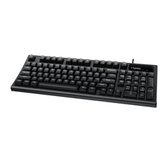 Bàn phím Rapoo NK2800 Black 12983 (98 phím, USB 2.0, Giả cơ)