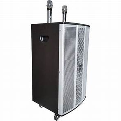 LOA KARAOKE DI ĐỘNG MICROTEK MTK-400 Loa Gỗ