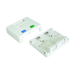 Hộp mạng nổi DINTEK 1301-02013CH (2 Port, 65 × 76 × 27mm, trắng)