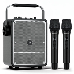 Loa kéo di động WinBridge S200 (150W, 4.500mAh, 50Hz–20kHz, 110dB, Micro không dây)