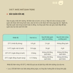 PHANPY | Bình Trữ Sữa Thủy Tinh Cao Cấp [Mua 1 Bộ Bình Tặng Ty, 1 Bộ Gồm 2 Bình Tiện Dụng]