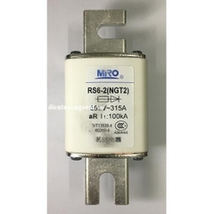 RS6-2(NGT2) 315A 690V