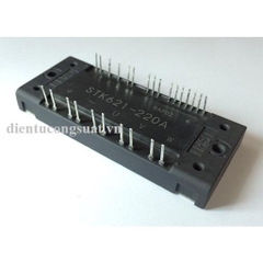STK621-220A