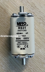 RS31(NGTC00) 80A 690V