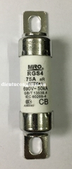 RGS4 75A 690V