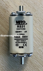 RS31(NGTC00) 100A 690V