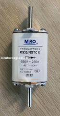 RS32(NGTC1) 250A 690V