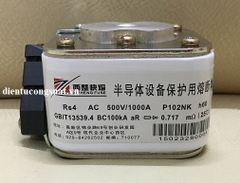 RS4 AC 500V/1000A P102NK h60