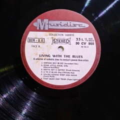 Living With The Blues