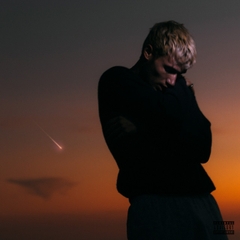love is not dying (Blue Vinyl)