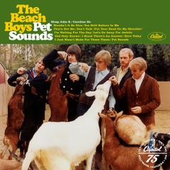 Pet Sounds (Custom Zoetrope Vinyl LP)