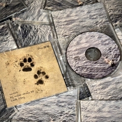 Phuc海福 - “Kỷ niệm chiều hè” EP「8cm」CD