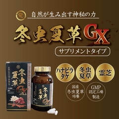 冬虫夏草GXサプリメント