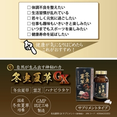 冬虫夏草GXサプリメント