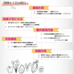 食事＆アルコール代謝分解サプリ　リセット（RESET)