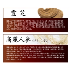 冬虫夏草GXドリンク
