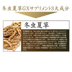 冬虫夏草GXサプリメント
