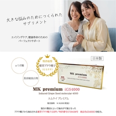 MKプレミアム iGS4000