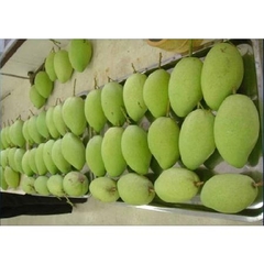 Vietnam Fresh Mango