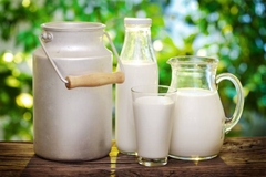 Sữa tốt cho xương khớp người trung niên