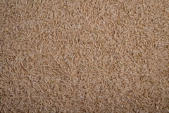 Long Grain Brown Rice