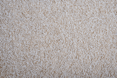 504 Long Grain White Rice