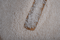 ST25 Rice
