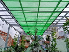 Lưới Che Lan, Cây Trồng - Lưới Che Nắng 50% -  Màu Xanh