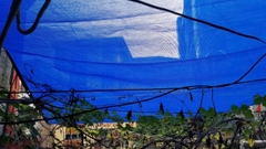 Lưới che sân vưởn - Lưới che nắng 90% - 325GSM Màu Xanh Dương