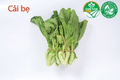 Cải bẹ