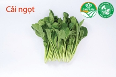 Cải ngọt