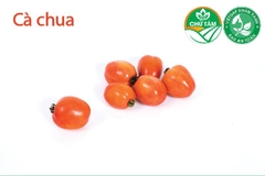 Cà chua