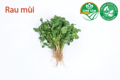 Rau mùi