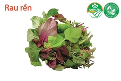Rau rền