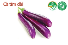 Cà tím dài