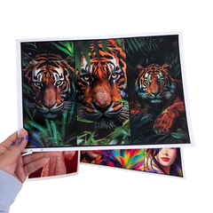 Giấy in ảnh cho máy in phun Epson, Canon, HP....