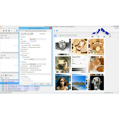 Phần mềm quản lý màu ColorGATE
