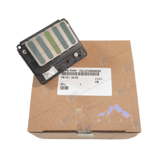 Đầu in Epson F9300