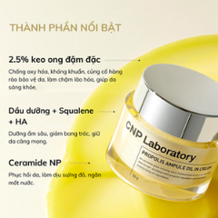CNP Laboratory Kem Dưỡng Propolis Ampule Oil In Cream 50g