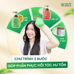 Cỏ Cây Hoa Lá Combo Dầu Gội Xả Thảo Dược Bưởi Trà 500g