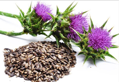 02/2025 - H&B Natures Garden Milk Thistle - Thải độc gan 30 viên